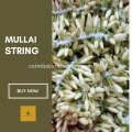 Strings